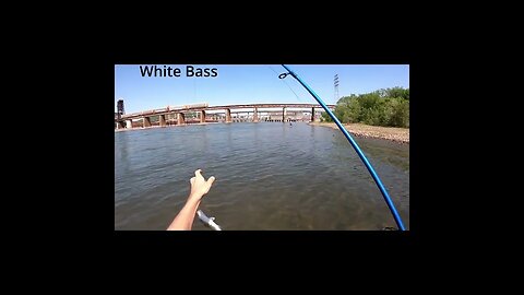 bass Fishing with Artificials