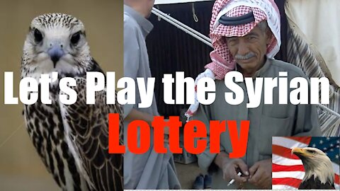 How to Play the Syrian Lottery; Catching Falcons Deep in the Syrian Desert. Opportunity Knocks