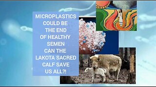 MICROPLASTICS FOUND IN ALL SPERM SAMPLES, NATIVE AMERICAN PROPHECY IS HERE