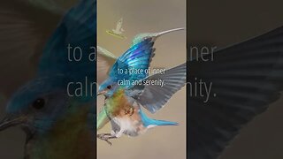 Let the sounds of birds🐦transport you to a place of inner calm | Relaxing #meditationmusic #shorts