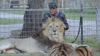 Big cat owner Jeff Lowe booted from Tiger King park