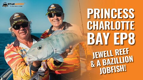 Ep. 8 Princess Charlotte Bay trip. Woah! Green Jobfish Nursery between Jewell Reef and Lizard Is.