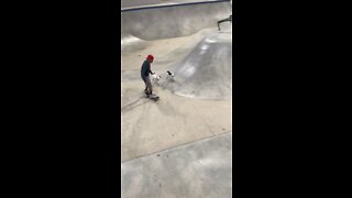 skating with puppies