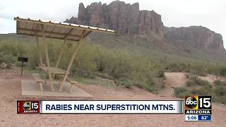 2 cases of rabies confirmed near Superstition Mountains