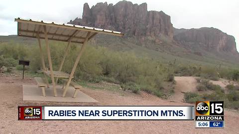 2 cases of rabies confirmed near Superstition Mountains