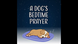 A Dog's Bedtime Prayer [GMG Originals]
