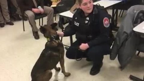 Dep. Jacob Pickett's K9 partner Brik attends prosecutor's press conference