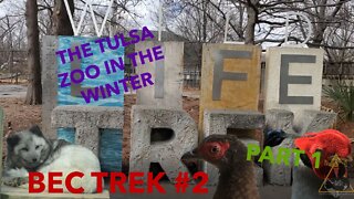 Visiting the Tulsa Zoo on a Cold Day! | BEC Trek Episode 2 (part 1)