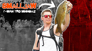 Beautiful Smallmouth Bass Snatches Z-Man TRD MinnowZ (Awesome Wisconsin Fishing!)