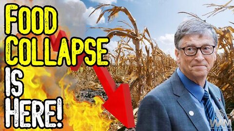 FOOD COLLAPSE IS HERE! - California Loses Half A Million Acres Of Farmland! - Crime Against HUMANITY
