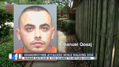 Grandmother beaten senseless while walking her dog wants bond against her attacker raised