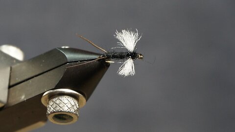 Midge Adult (Fling & Puterbaugh 14/30)