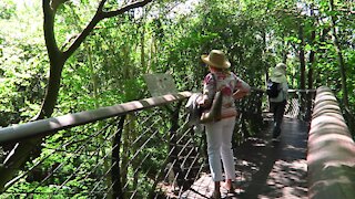 SOUTH AFRICA - Cape Town - Kirstenbosch National Botanical Garden (Video) (CUH)