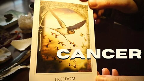 Oracle Messages for Cancer | Freedom, Openings, & Reaching New Levels...