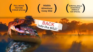 BACK into the Wild! Full Wildlife & Survival Documentary # 12