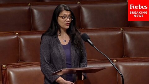 Rashida Tlaib: 'We Need To Protect The American People Form Corporate Greed And Abuse'