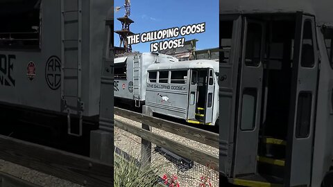The Galloping Goose was in service! #knottsberryfarm #gallopinggoose #train
