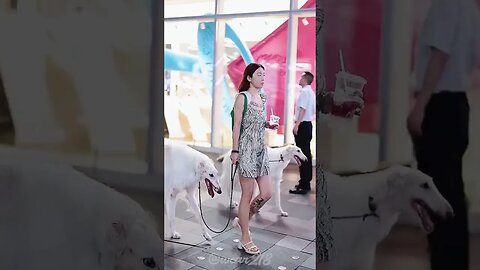 Chinese Girl walking on the Road with her Dragon pets #foryou #ytshorts #viral #trending #chinese