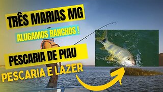 Pescaria de Piau os monstros do velho Chico .#pescaesportiva