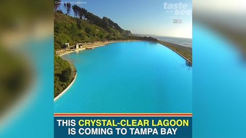 Nation’s first crystal-clear lagoon opens Spring 2018 in Tampa Bay | Taste and See Tampa Bay