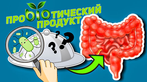 Кушай и не будешь болеть! / Пробиотические продукты