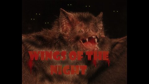 Horrifying Bat Tale: "Wings of the Night" (Jeffrey LeBlanc)