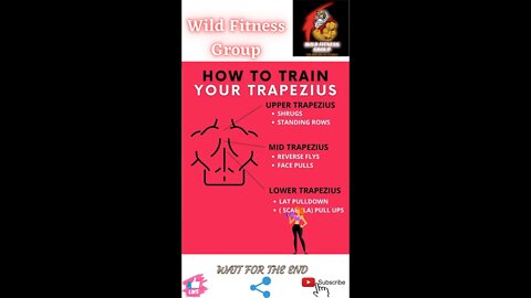 🔥How to train your trapezius🔥#shorts🔥#viralshorts🔥#fitnessshorts🔥#wildfitnessgroup🔥