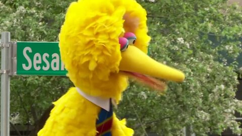 Sesame Street Becomes Real Intersection In NYC