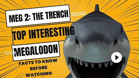 Meg 2: The Trench 🍤 ! Top interesting facts about movie and Megalodon🍣