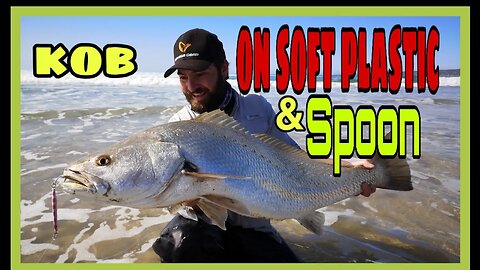 KOB / Mulloway on PADDLETAIL! KOB on LURE is FUN!