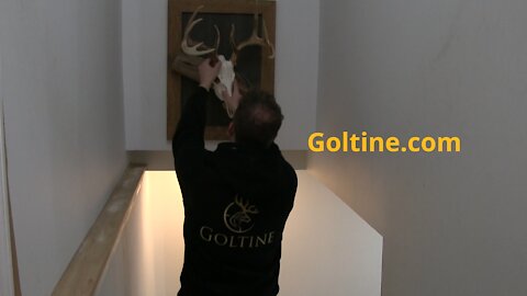 European Mount Plaques From Goltine.com - Built To Impress