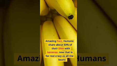 Banana Family fact