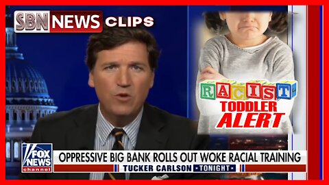 Bank of America Has 'Disturbing' Warning About Toddlers in Woke Program - 3788