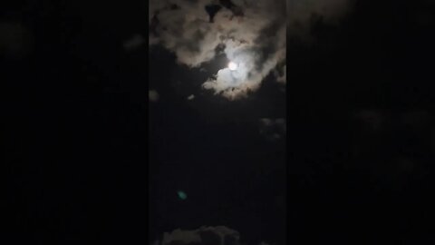 Spooky Werewolf Moonlit ocean 🐺🌕