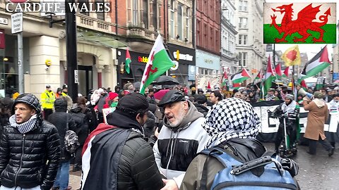 ☮️March Pro-PS Protesters St Mary Street Cardiff South Wales☮️