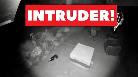 Sengled Snap Security Light Bulb Camera Caught an Intruder!