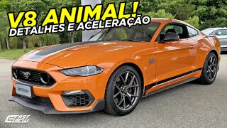 NOVO FORD MUSTANG MACH 1 5.0 V8 2021 DE 483 CAVALOS ACELERANDO FORTE NO "ON THE ROAD EXPERIENCE"