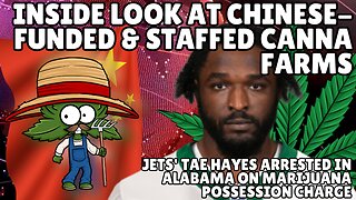 DEA and GOP Leaders Demand Public Hearing on Cannabis Rescheduling, Jets' CB Tae Hayes Arrested