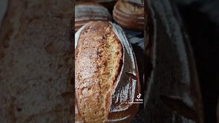 I HAD ALMOST LOST FAITH IN SOURDOUGH BAKING #lievitomadre #food #sourdoughbaking