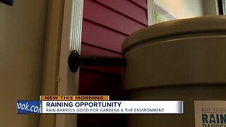 Rain barrels proving good for environment, gardens in Milwaukee