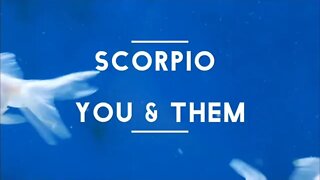 Scorpio You & Them Timeless Tarot Reading - Thoth 432 Studio