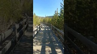 Walking to Steamboat Geyser in Yellowstone