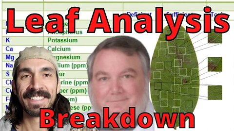 Leaf Analysis Breakdown w/ Harley Smith