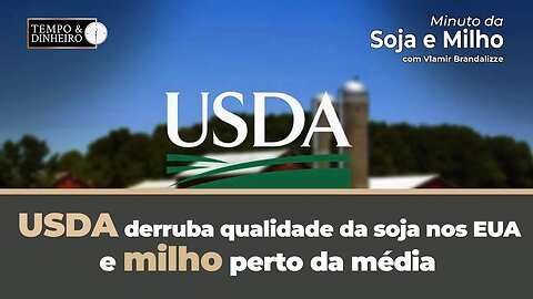 USDA derruba qualidade da soja nos EUA e milho perto da média. Veja o relatório