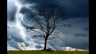 Lightning strikes tree and causes accident