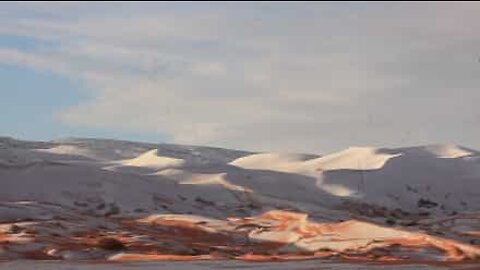 Deserto do Saara fica coberto de neve