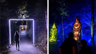 You Can Wander Through A Glowing Enchanted Forest Less Than 2 Hours From Ottawa