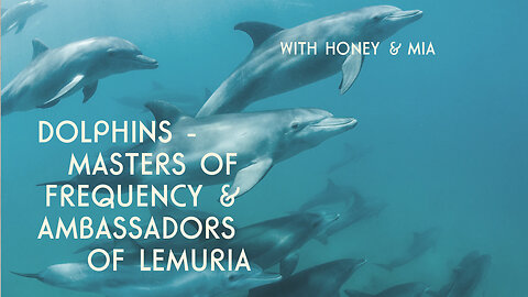 Dolphins - Masters of Frequency & Ambassadors of Lemuria