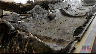 Neolithic boats that traversed the Mediterranean 7,000 years ago excavated near Rome