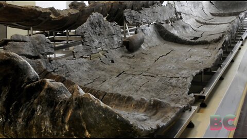 Neolithic boats that traversed the Mediterranean 7,000 years ago excavated near Rome